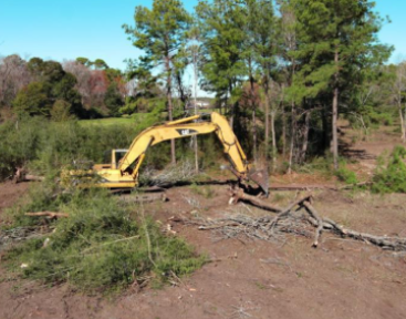 Lima Demolition Gallery